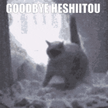 a picture of a cat with the words goodbye hashitou on it
