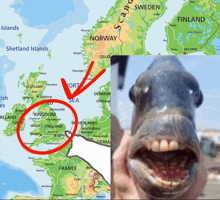 a map showing norway and finland with a picture of a fish