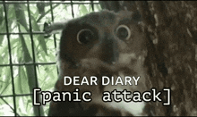 Panic Panic Attack GIF - Panic Panic Attack Nervous GIFs