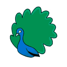 Zvika Peacock GIF - Zvika Peacock GIFs