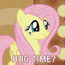 hug pony