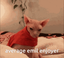 Average Emil GIF - Average Emil Enjoyer GIFs