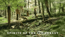 Walking With Dinosaurs Spirits Of The Ice Forest GIF - Walking With Dinosaurs Spirits Of The Ice Forest GIFs