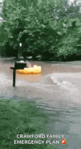 a yellow rubber duck is floating in a flooded street near a mailbox .