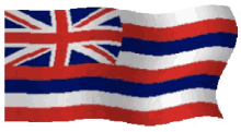 Hawaii Flag GIF