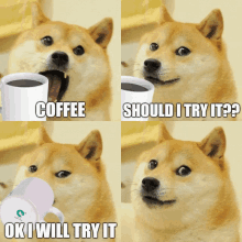 Doge Coffee GIF - Doge Coffee GIFs