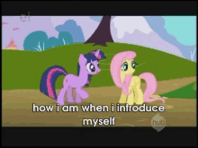 How I Am When I Introduce Myself >~< GIF - Introducing Socializing Fluttershy GIFs