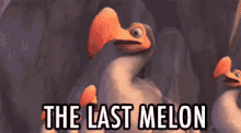 Ice Age GIF - Ice Age The Last Melon Sid And The Dodos GIFs
