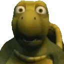 a close up of a turtle with big eyes