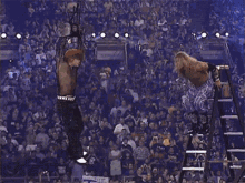 Wrestling Between Edge & Jeff Hardy GIF - Edge Jeff Hardy Wwe Superstars GIFs