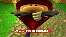 Mario Smg4 GIF - Mario Smg4 Im In Roblox GIFs