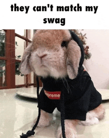 a rabbit wearing a supreme hoodie is sitting at a table