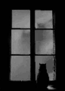 Cat Staring In The Window Wind GIF - Cat Staring In The Window Wind Cat GIFs