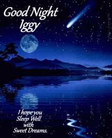Good Night Iggy GIF - Good Night Iggy Lake GIFs