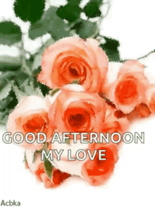 Good Afternoon Day GIF - Good Afternoon Good Afternoon GIFs