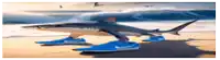 a shark is riding a pair of blue nike shoes on the beach .