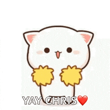 a cartoon cat is cheering with pom poms and the words `` yay chris '' written below it .
