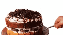 chocolate cake cookie cake slice of cake piece of cake sweet