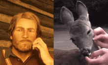 a man with a beard is next to a deer that is eating something
