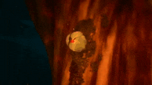 a red flower is glowing in the dark on a rock .