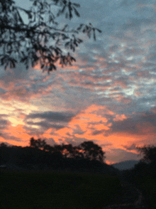 a sunset sky with trees in the foreground