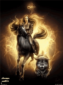 fantasy wolf horse