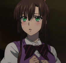 a girl with long brown hair and green eyes is wearing a purple vest