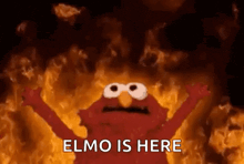 elmo from sesame street is on fire with his arms outstretched and says `` elmo is here '' .