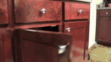Sml Toad GIF - Sml Toad Cabinet GIFs