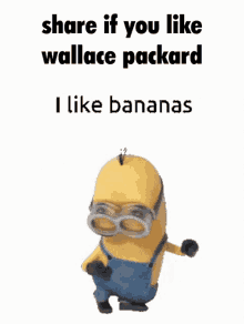 wallace packard packard wallace