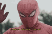 spiderman good bye take care of yourself bye
