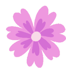 flower animated