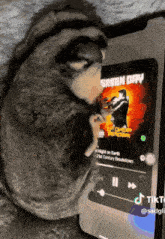 a squirrel is looking at a green day album on a cell phone
