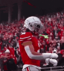 a football player wearing a helmet and gloves is standing on a field with his hands in the air .