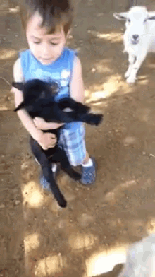 I'M Going To Love Him And Feed Him And Call Him George GIF - Boy Goat Friends GIFs