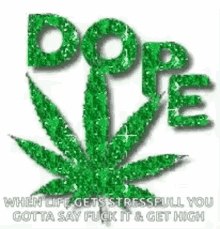 marijuana drugs pot dope gotta say fuck it
