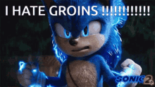 Sonic Sonic2 GIF - Sonic Sonic2 Groins GIFs