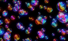 Bubbles GIF