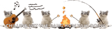 a group of cats standing next to each other with the words chilling with the gang how yall doing
