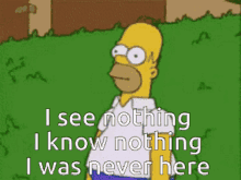 Homer Simpson I See GIF - Homer Simpson I See Nothing GIFs