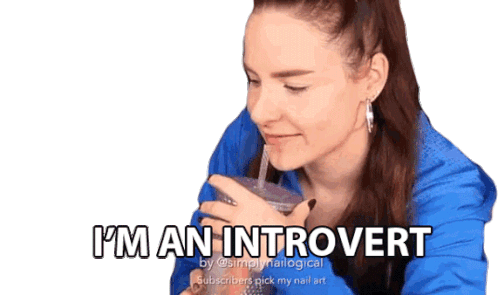 Im An Introvert Leave Me Alone Sticker - Im An Introvert Leave Me Alone I Dont Like People Stickers