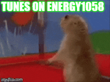 Energy1058 Energy 1058 GIF - Energy1058 Energy 1058 Tunes GIFs