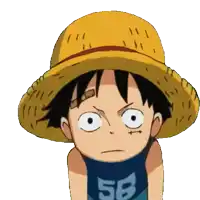 monkey d luffy from one piece wearing a straw hat and a shirt with the number 58 on it