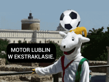 Motor Lublin Ekstraklasa GIF - Motor Lublin Ekstraklasa Polskie GIFs