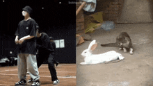 a man is standing next to a cat and a rabbit laying on the ground .
