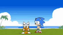 Sonic Tails GIF - Sonic Tails Miles GIFs