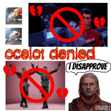 a collage of images with the words ocelot denied i disappointe