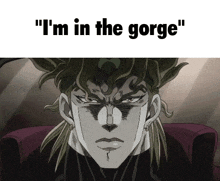 a cartoon character with the words " i 'm in the gorge "