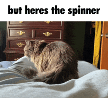But Heres The Spinner GIF - But Heres The Spinner But Heres GIFs