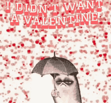 Didnt No Valentine GIF - Didnt No Valentine Cat GIFs